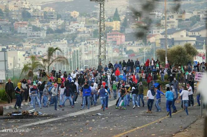 تصوير: أكرم دراوشه - كفركنا - فلسطين