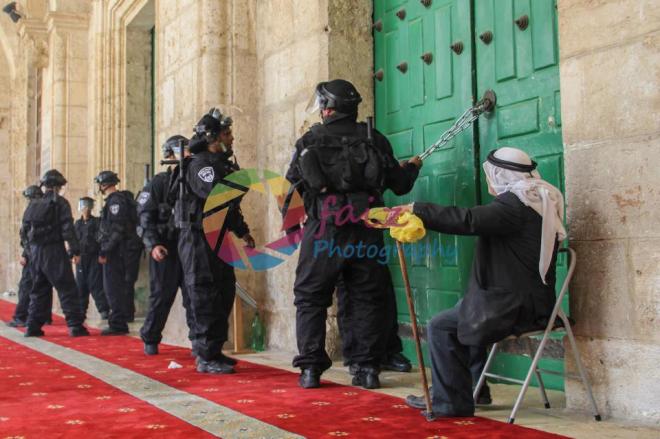 229576_408731775847516_552448127_n